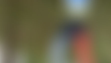 Now is Better Than Later