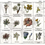 Thumbnail: Sewing Seeds III Flower Classes White