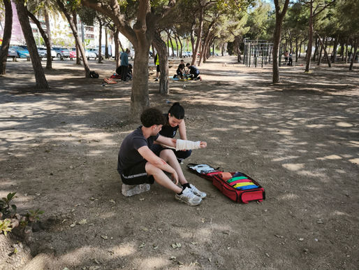 Simulacre de Sant Jordi