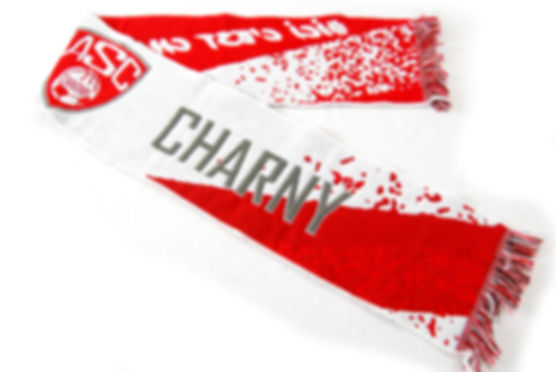 Echarpe