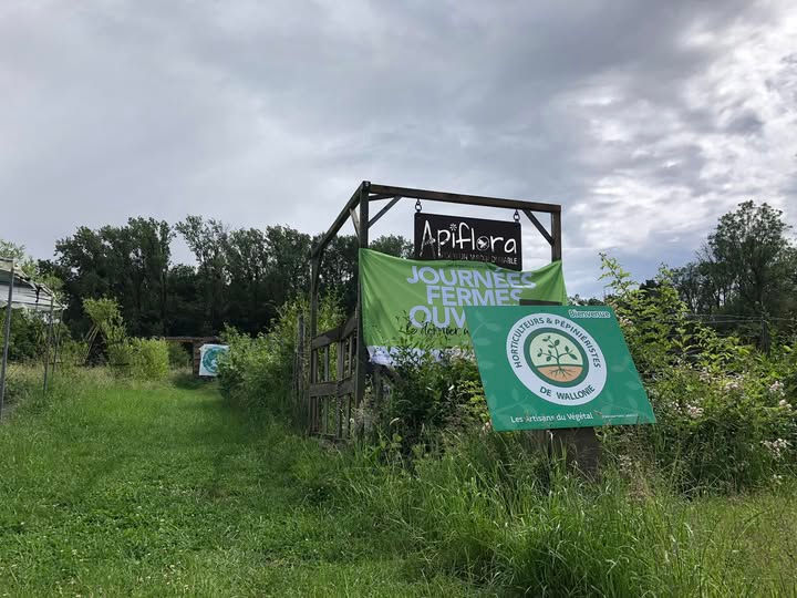 🌿🐝 Journées Fermes Ouvertes chez ApiFlora – 27 & 28 juin 2026 - Gratuit et ouvert à tous🌸🌞