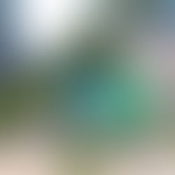 Vivement les beaux jours!