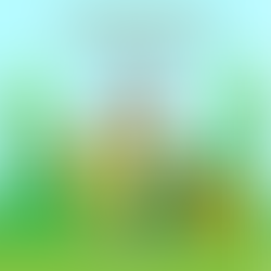 La historia de Eira y el explorador Uriel