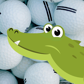 Al the Alligator Character Image