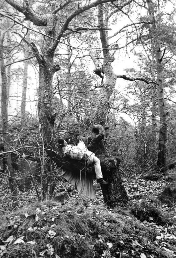 Boy in the Forest2.jpg