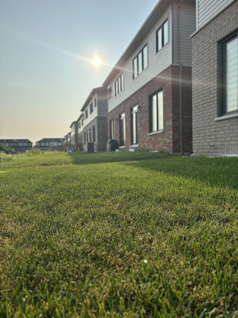 Clear Flow Lawn