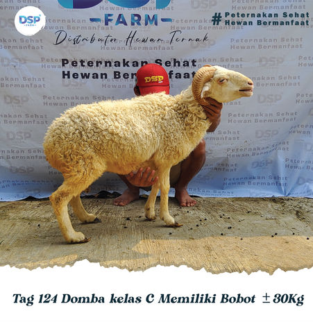 Katalog Domba 2-15.jpg