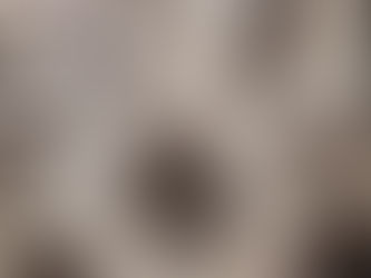 Machines d’usinage et de découpe CNC pour les selliers harnacheurs et garnisseurs