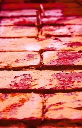 IF_YOU_HAVE_TIME-IMG_2451-PORT-BrickWall-LkgUpward-RedBrown-BRICK_WALLandBINGHAM