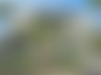 Creating Modern Farmhouse Charm in Tampa Heights