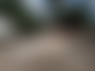 Project Progress Updates - July 