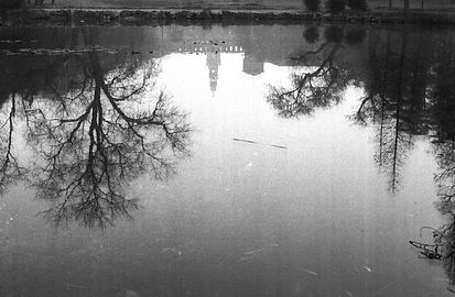 Untitled3 (18).jpg