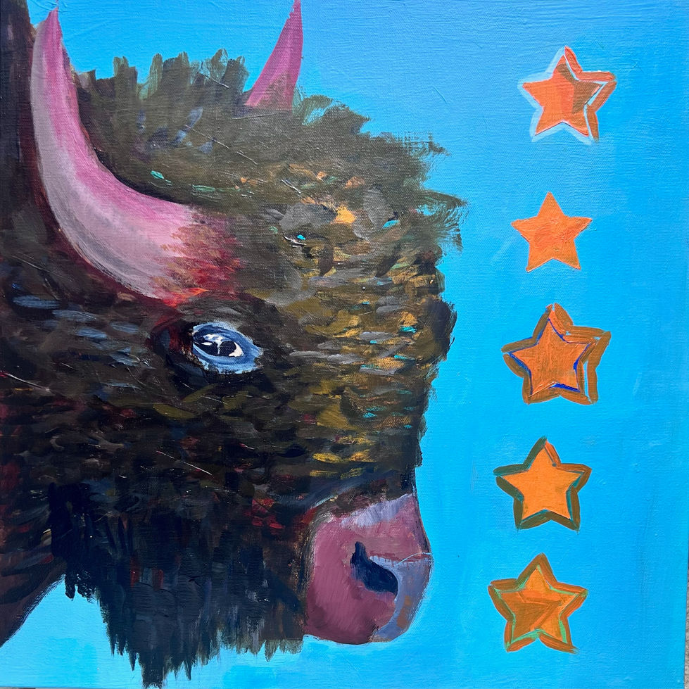 Buffalo Stars