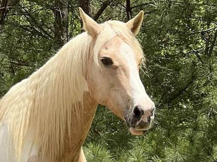 Bella: I'm a full-figured girl and I'm gorgeous!