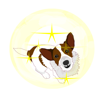 ジャックラッセルテリアの銀じいさん ジャックラッセルテリアの銀じいさん