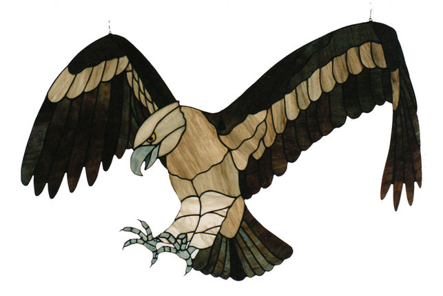 Stained glass, leadlight, art glass, window, Launceston, Tasmania, eagle