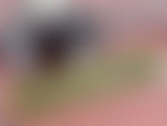 The Campaign Against Dead-beat Dads