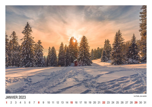 LnPixElle - Calendrier 2.jpg