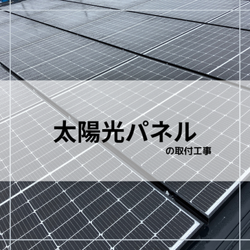 屋根にのっかりました