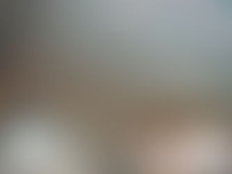 実際の住宅の7月1カ月間の室内温度を測定した結果です