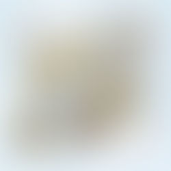 広報誌に掲載！