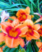 Poetry Downtown Rutland Submission Deadline