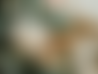 3RD ANNUAL HOLIDAY OF HOPE