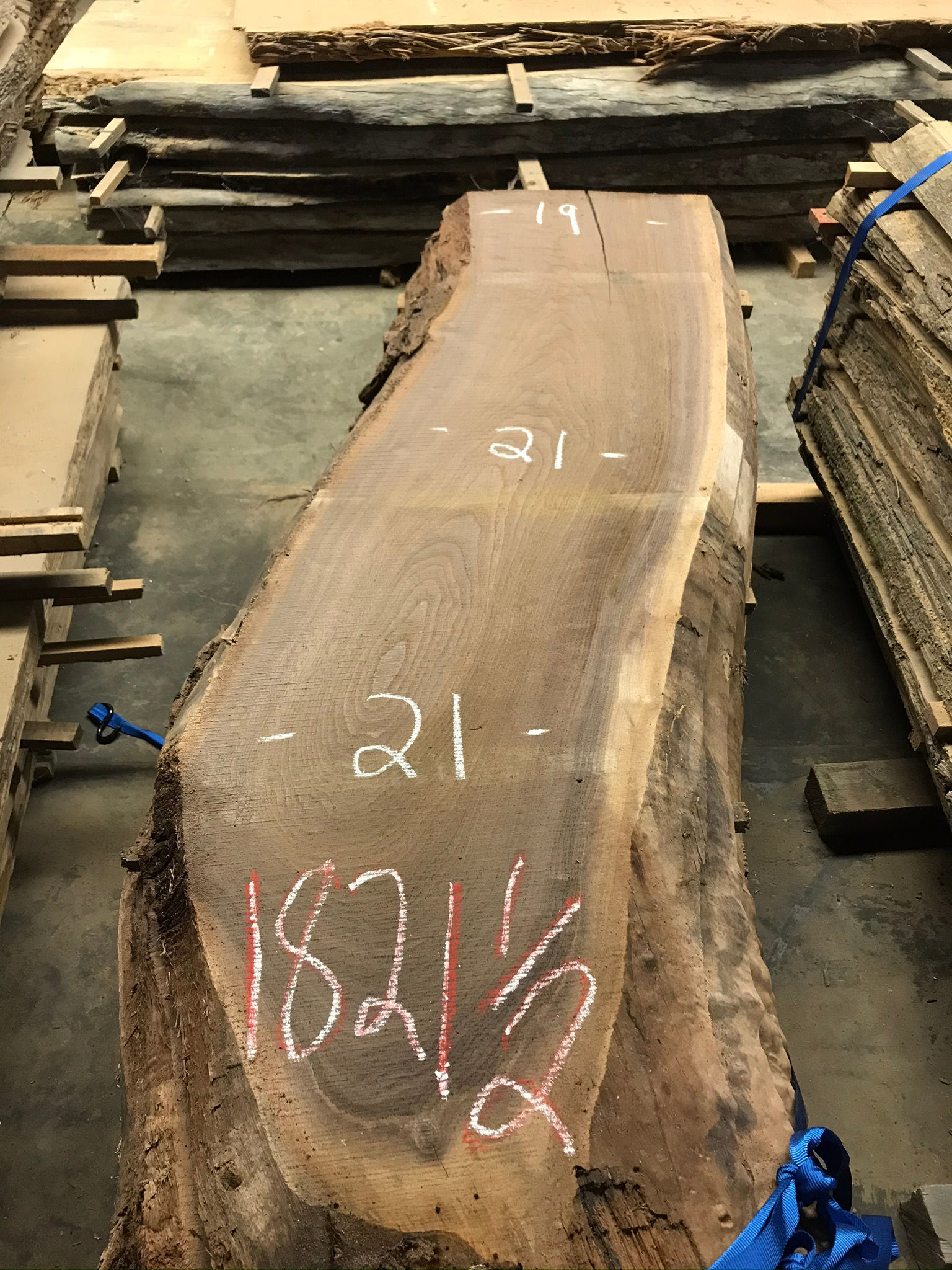 Walnut #182