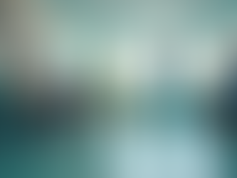 Como Escolher o Veterinário Ideal para Seu Pet