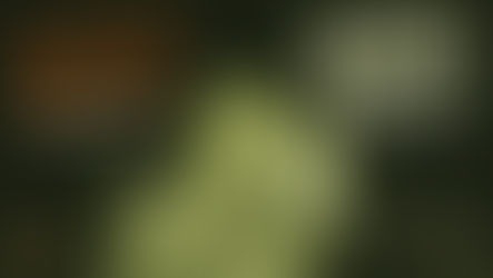 Supa John & Mystic Firm: “Let Me Be With You” – A Love Declaration in Reggae