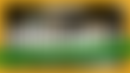 Damian Marley | Stephen Marley | Elijah Marley - California Roots 2024