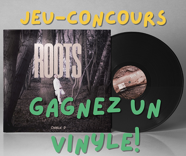 1 VINYLE.png