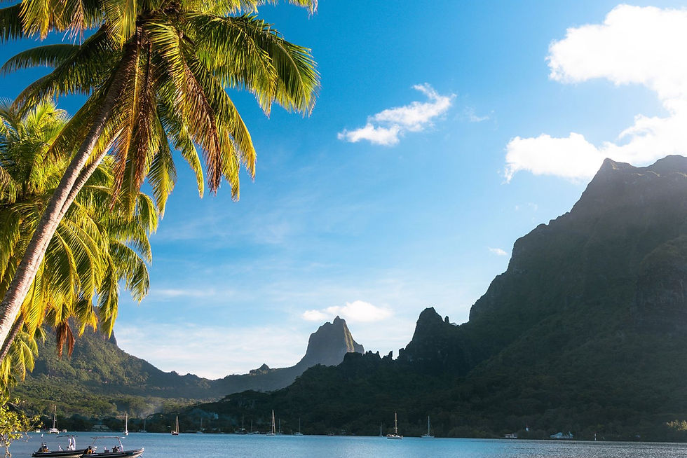 Lagon turquoise de Moorea bordé de palmiers, avec les montagnes en arrière-plan, côté hôtels de plage