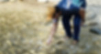 Asset 4_300x-100.jpg