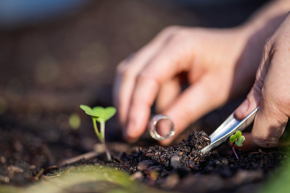 Soil remediation