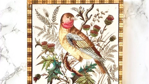 Oiseaux et symbolique