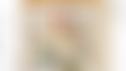 Oiseaux et symbolique