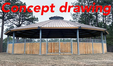 first pic in round pen.jpg