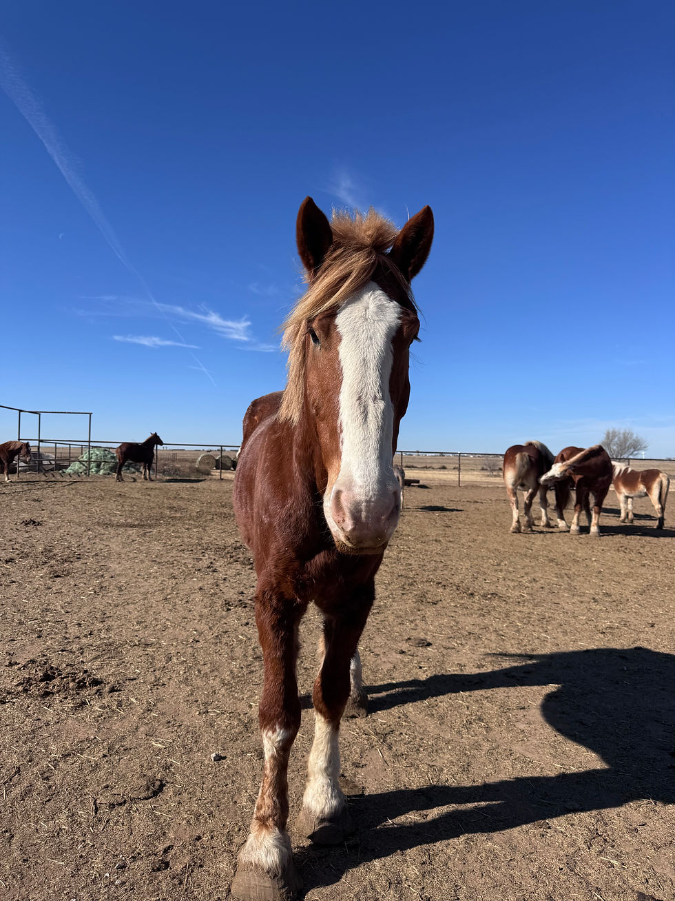 Thumbnail: Sponsor Delilah