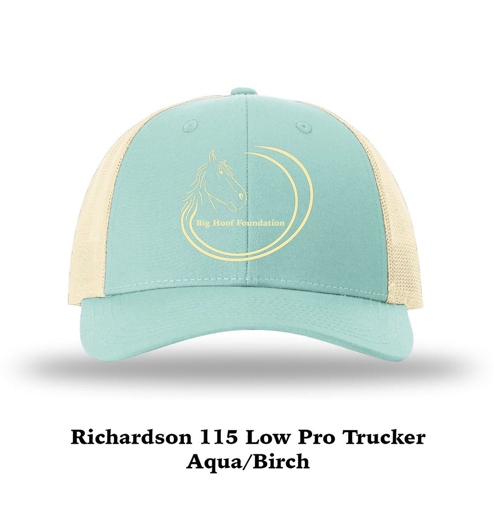 Thumbnail: Richardson 115  Low Pro Trucker Hat