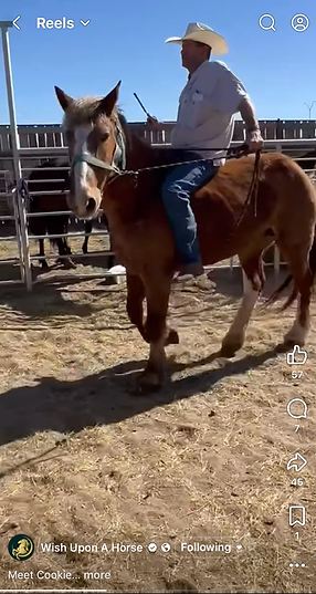 Screenshot 2026-04-18 at 4.09.22 PM.png