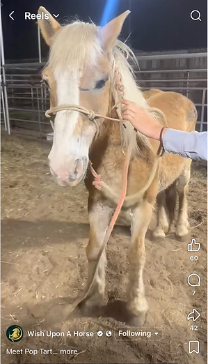 Screenshot 2026-04-18 at 4.11.42 PM.png