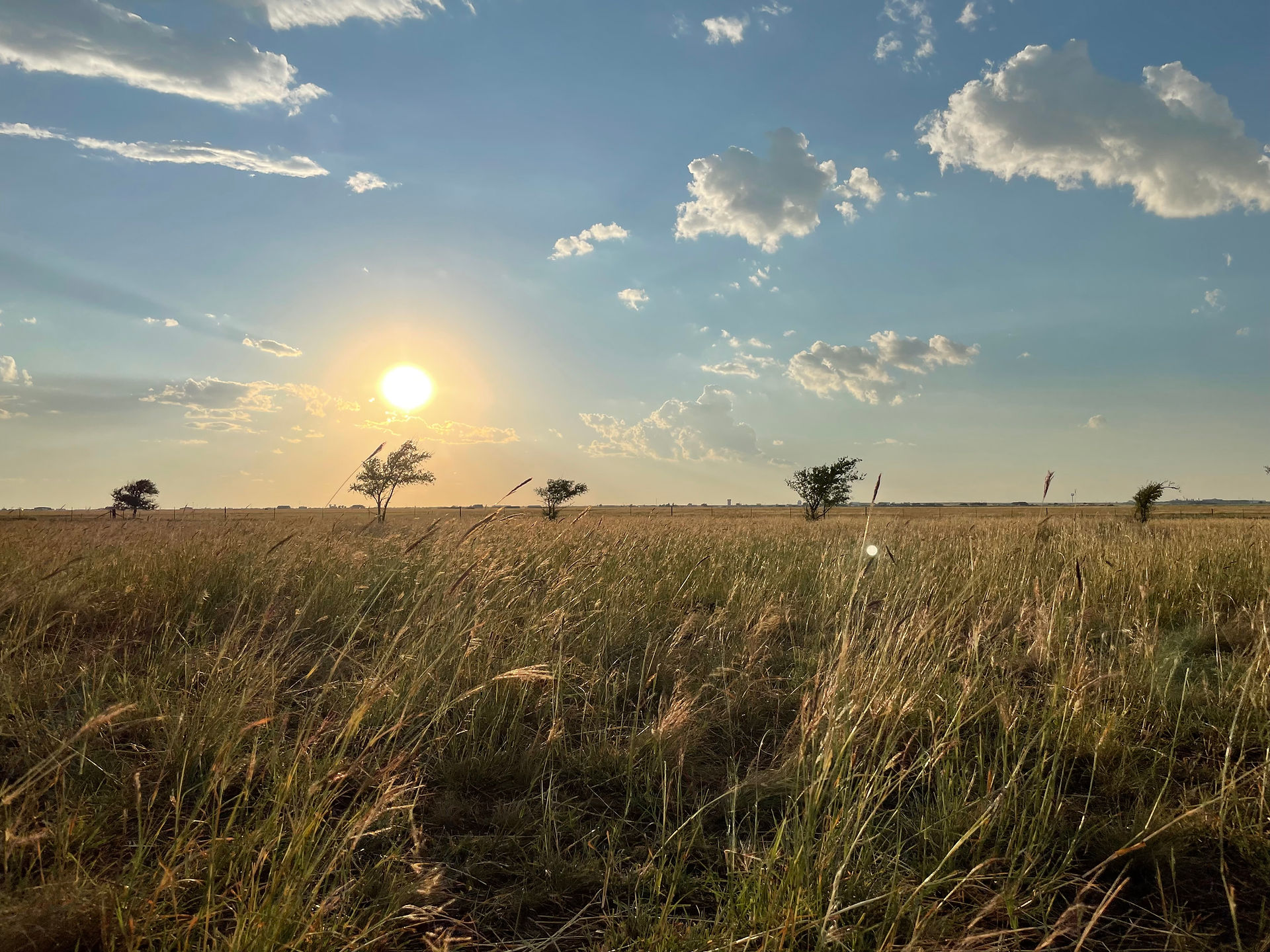 Goat Milk Soap Available Fletcher Farms Amarillo, Llc. Amarillo