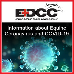 EDCC COVID-10 and Equine Coronavirus-01.