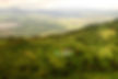 Rhino Lodge