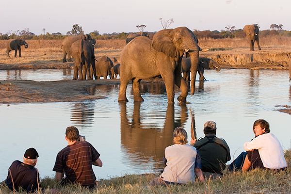 The Hide Camp: Hwange National Park