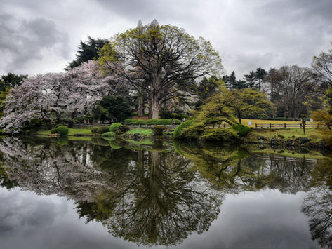 Jackie Hopfinger - Japan
