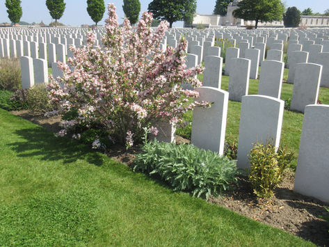 I Died in Hell. They Called it Passchendaele