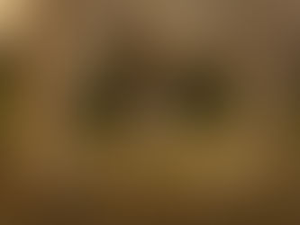 Combien coûte un photographe de mariage en Gironde ? Ce que comprend mon tarif
