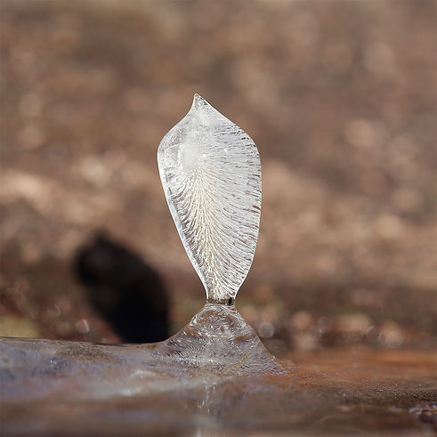 Eiskristall im Licht